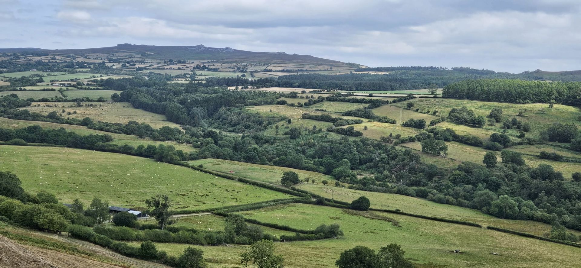 Stiperstones from Mucklewick hill
